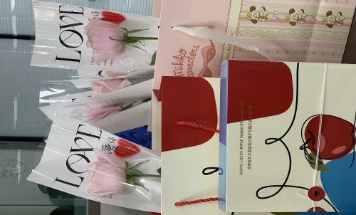 向公司每一位辛勤付出、绽放光彩的女性伙伴们致以最诚挚的节日祝